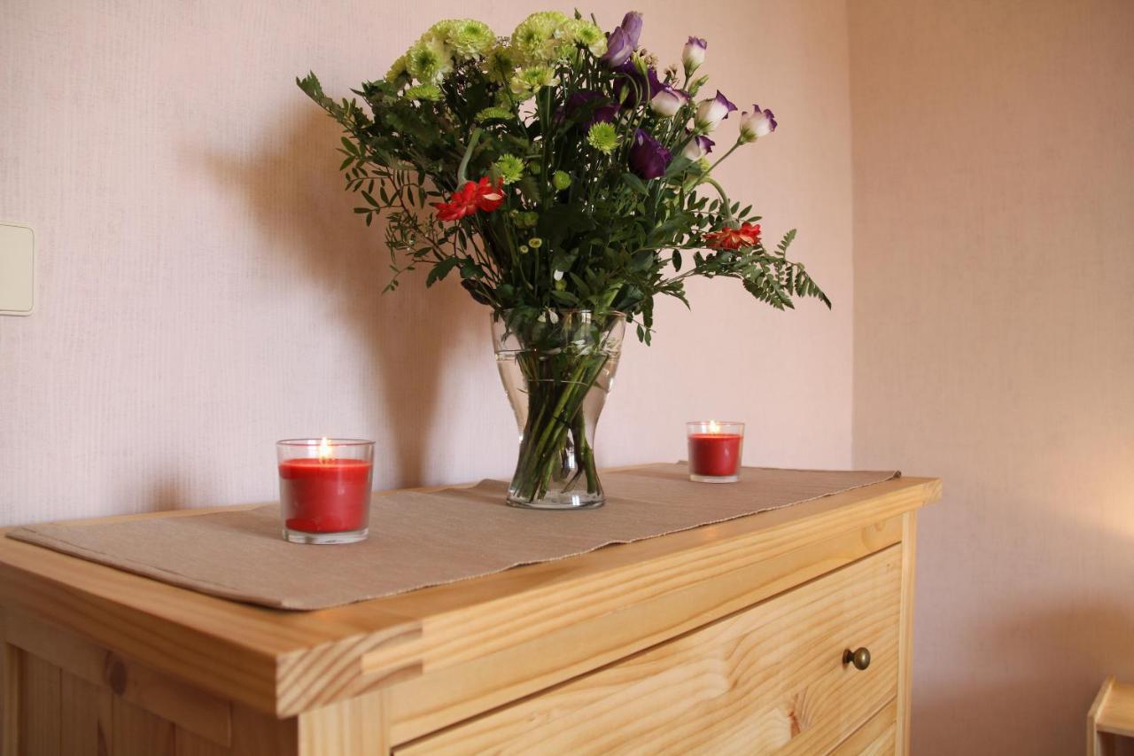 Au Lion D'Or Apartment Le Puy-en-Velay Ngoại thất bức ảnh